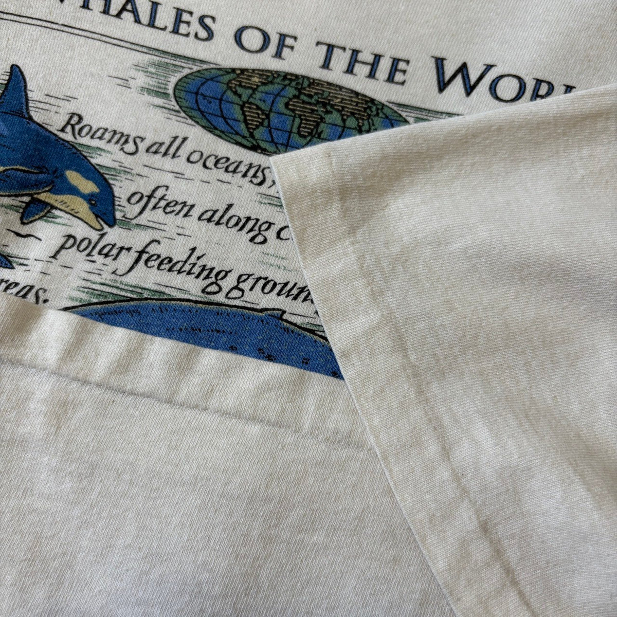 L.L. Bean "WHALES OF THE WORLD" T-Shirt