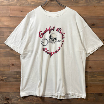1990s Hanes GREATFUL DUDES "Dude head Ambition Tour '91" Band T-Shirt