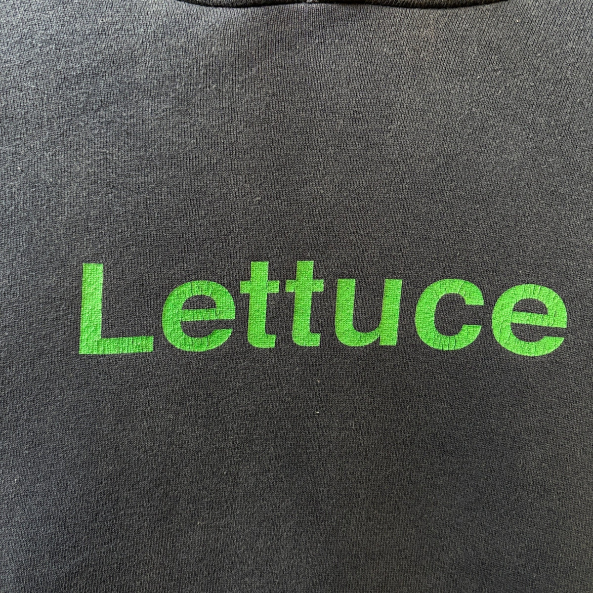 1990s ALSTYLE "Lettuce" Pullover Hoodie