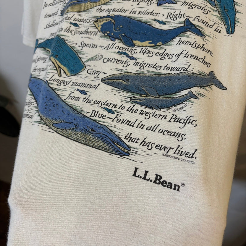 L.L. Bean "WHALES OF THE WORLD" T-Shirt
