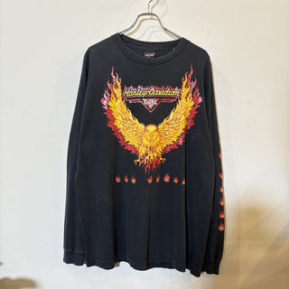 2000s Harley-Davidson Flame L/S TEE