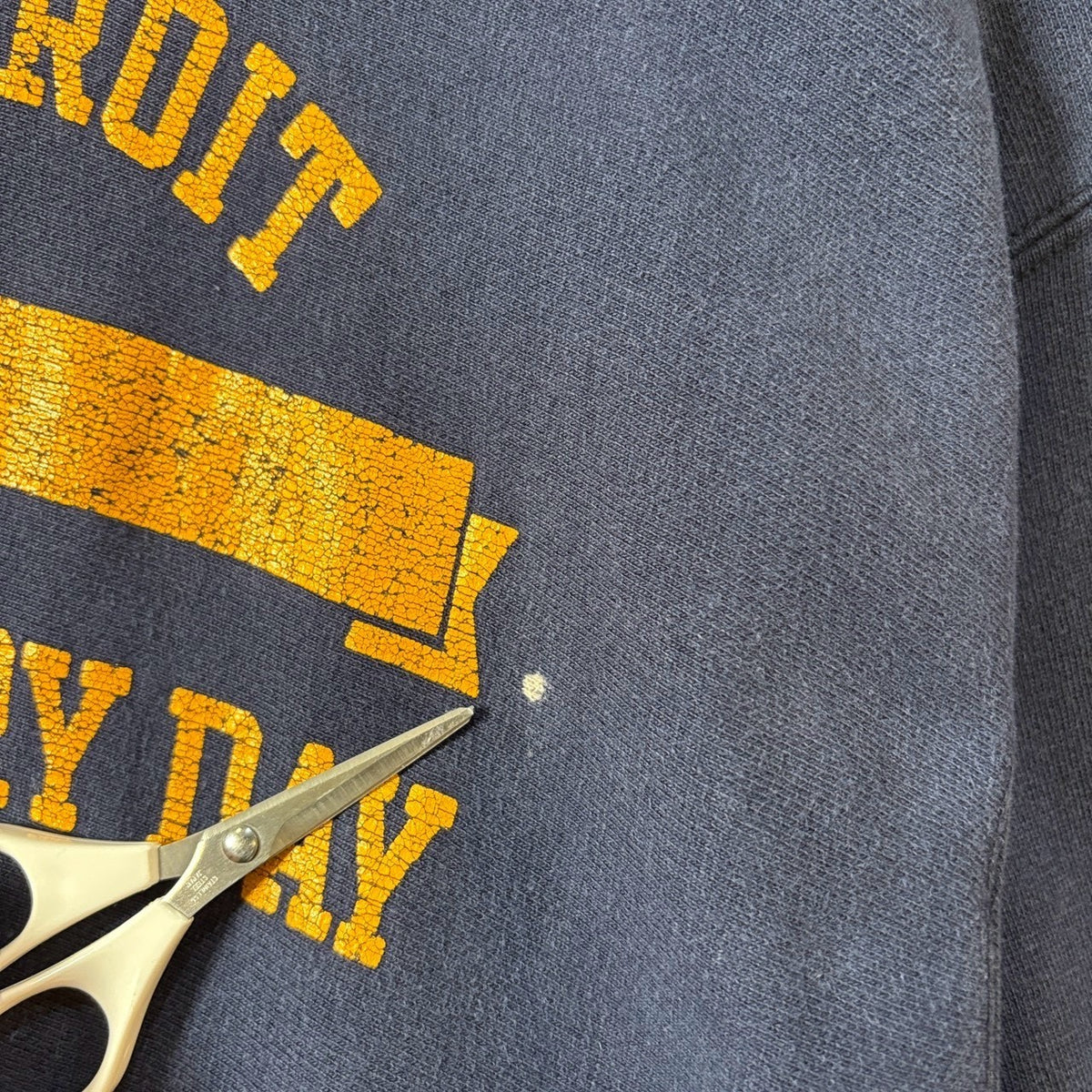 1980s Champion REVERSE WEAVE "DETROIT COUNTRY DAY" Hoodie