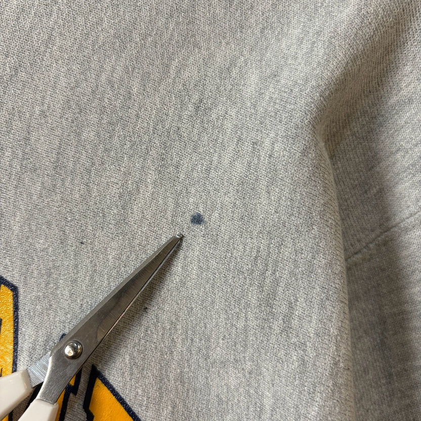 1990s "Champion" REVERSE WEAVE "Notre Dame" Hoodie