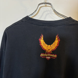2000s Harley-Davidson Flame L/S TEE