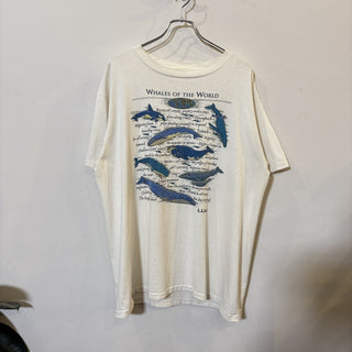 L.L. Bean "WHALES OF THE WORLD" T-Shirt