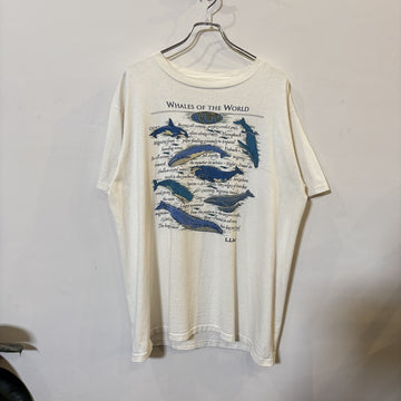 L.L. Bean "WHALES OF THE WORLD" T-Shirt