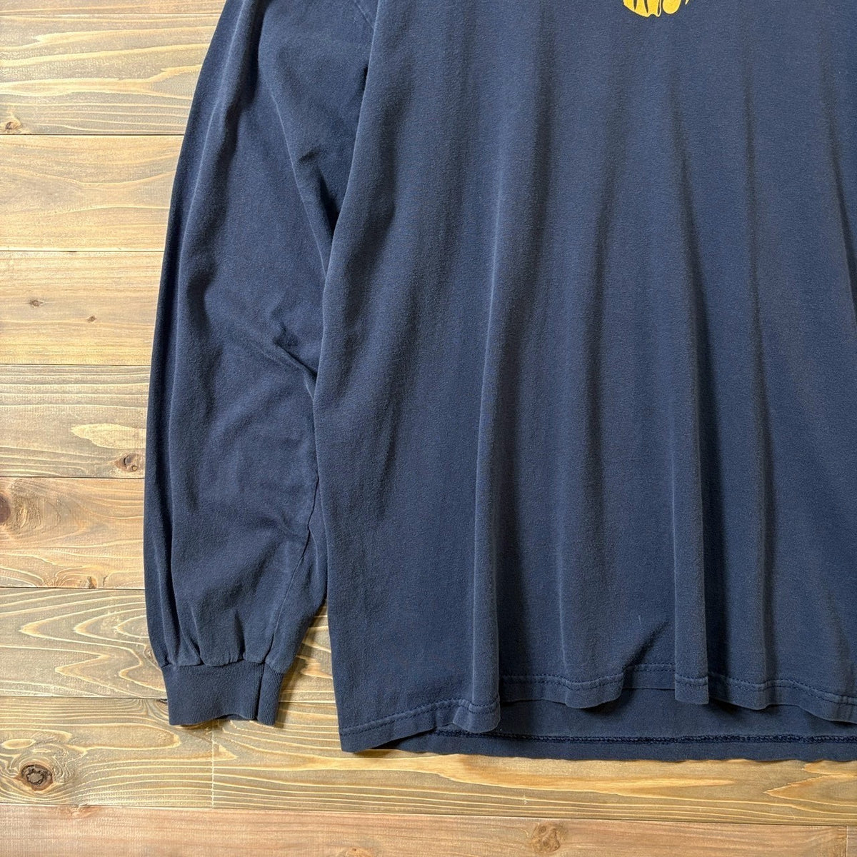 2000s Anvil "PHISH" Summer Tour '03 L/S TEE